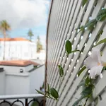 Bed & Breakfast Casa Palmeiras Charming House - Azores 1901