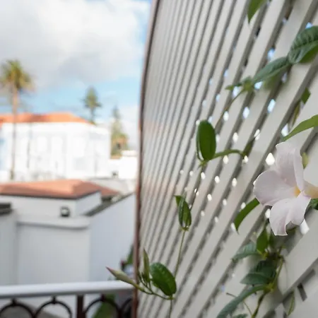 לינה וארוחת בוקר Casa Palmeiras Charming House - Azores 1901