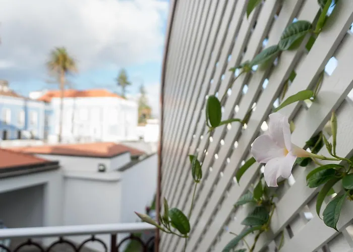Bed & Breakfast Casa Palmeiras Charming House - Azores 1901